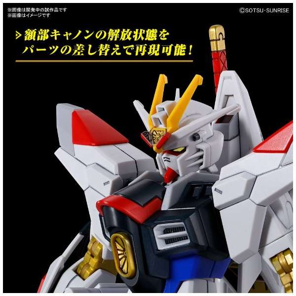 HG 1/144 マイティーストライクフリーダムガンダム